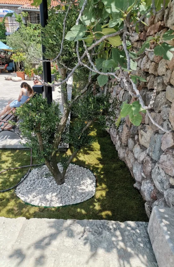 Supervisione tecnica dei lavori di sistemazione della riva a Pržno, Budva